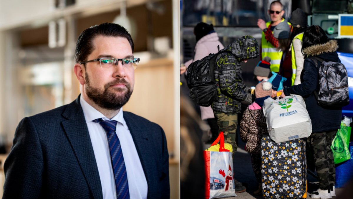 Sverigedemokraternas partiledare Jimmie Åkesson vill se ett stopp för all asylrelaterad migration utom för ukrainska medborgare.